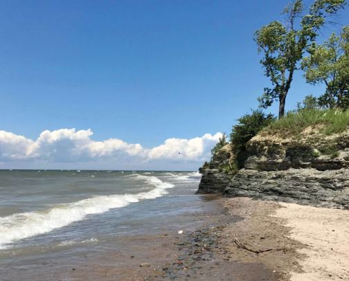 My new list cover photo collage