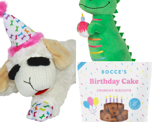 everything you need for your dog's birthday party! 🐾🎈 cover photo collage