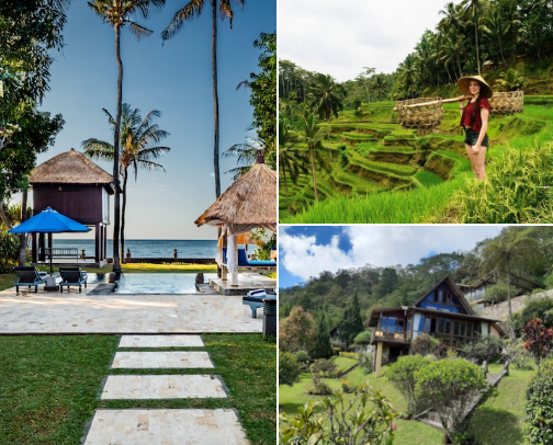 🌴 Bali Unveiled: The Aesthetic Budget Guide 🥥 cover photo collage