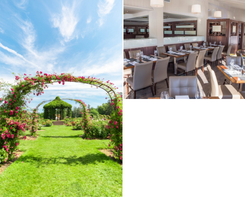 Fun things to do near Hartford, CT cover photo collage