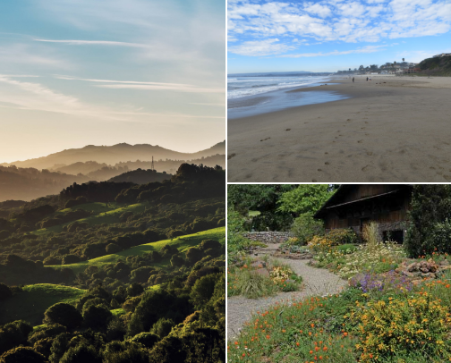 Where to go in the Bay Area cover photo collage