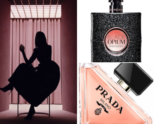 Fragrances That Mesmerizes cover photo collage