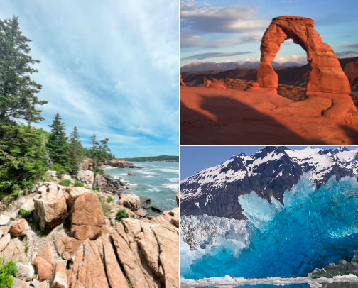 National Parks that I Would Revisit 🌋🌲🌵🦌 cover photo collage