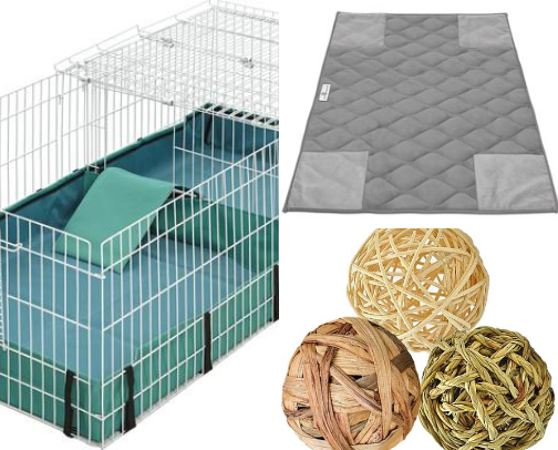 How we keep our guinea pigs healthy and happy cover photo collage