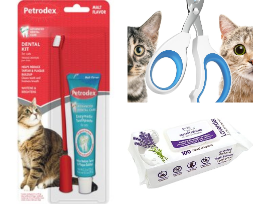 pet essentials we use in our home cover photo collage
