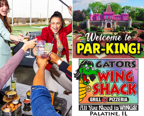 🏙️ Things to Do in Chicago's Northwest Suburbs! cover photo collage