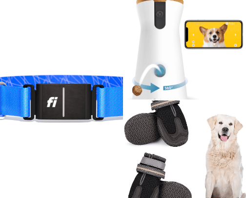 Pets cover photo collage