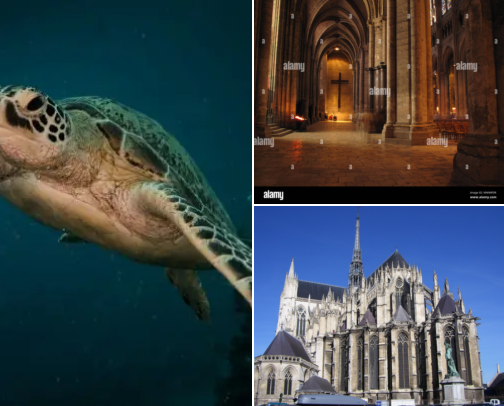 The kind of hotel stay I’d save for later, Cathedral Walks, Local Corners & Lovely Places to Stay Amiens, France cover photo collage