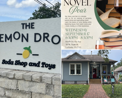 My top League City recs cover photo collage