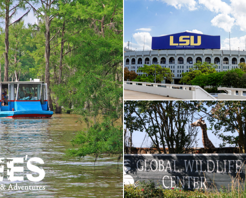 Come visit The Boot! 🐊 ⚜️ 🦞 cover photo collage