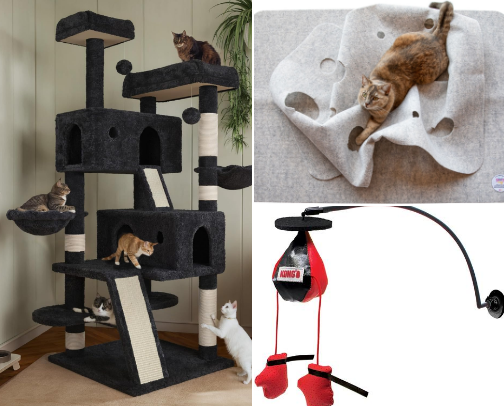 MUST HAVES for your kitty🐈 cover photo collage