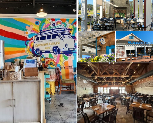 My top local recs cover photo collage