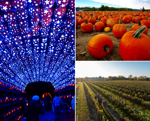 The Great Fall Checklist 🍂🍁 cover photo collage