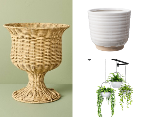 Plant Mom Life cover photo collage