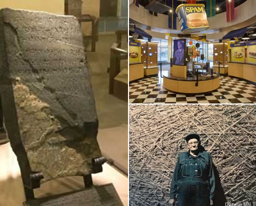 MN Field Trips cover photo collage