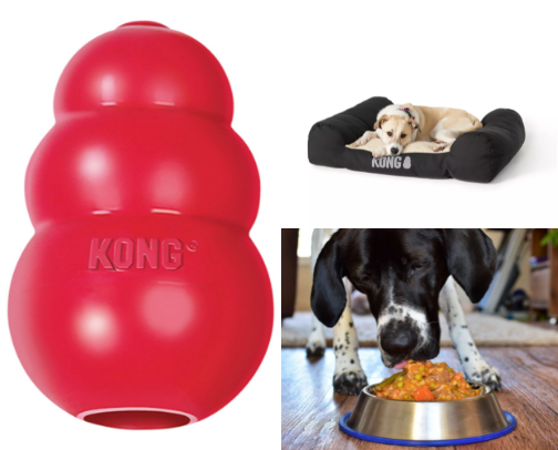 Dog Must-haves cover photo collage