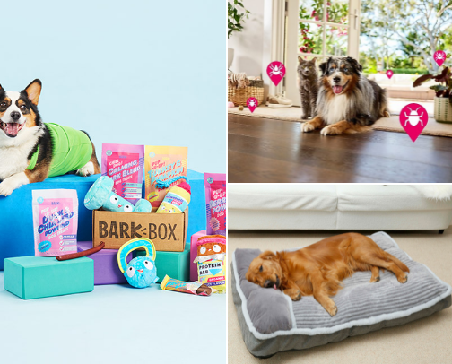 Dog necessities cover photo collage