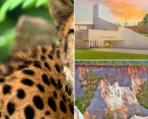 Budget friendly attractions cover photo collage