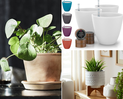 Plant Parent Starter Pack cover photo collage