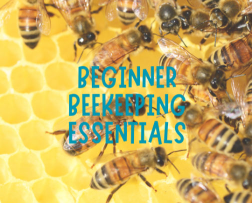 Bee Keeping Essentials cover photo collage