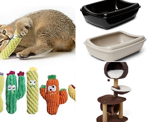 New Cat Owners Must Have cover photo collage