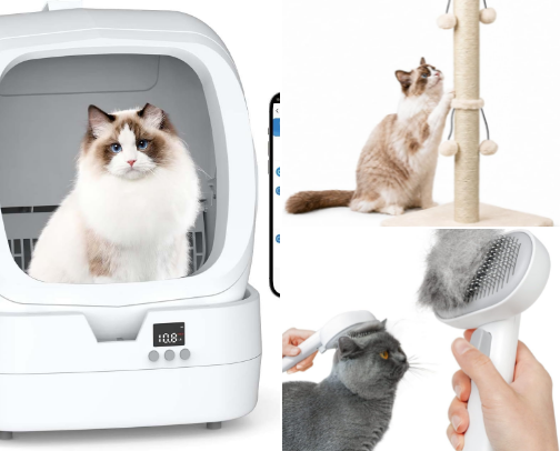 Must Have Cat Essentials cover photo collage