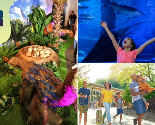 Places for kids in Michigan cover photo collage