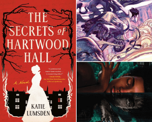 Barnes and Noble Book Haul cover photo collage
