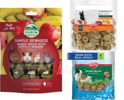 Favorite Guinea Pig Treats, Food & Forage Picks cover photo collage