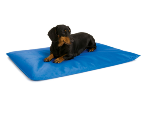 Beat the Heat: Cooling Essentials for Pets cover photo collage
