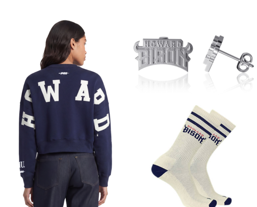 Howard University Homecoming: An Alum's Guide cover photo collage
