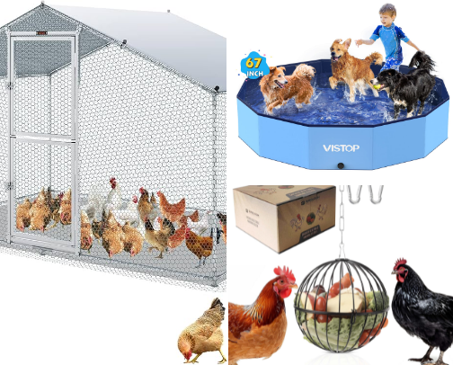 Got Ducks? These Items Help Build Your Ducks A Dream Home! cover photo collage