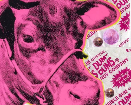 BEAUTY (for the beauties) cover photo collage