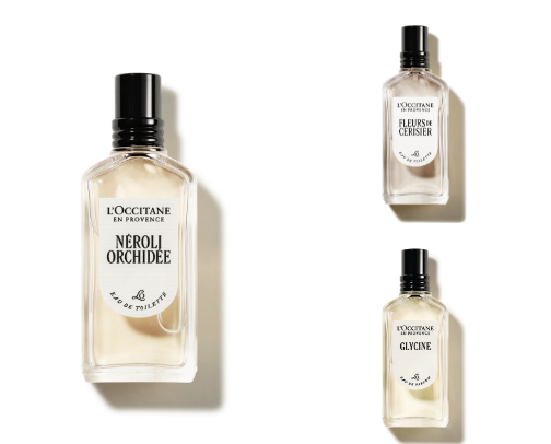 Best L'Occitane Fragrances: From Rose to Lavender cover photo collage
