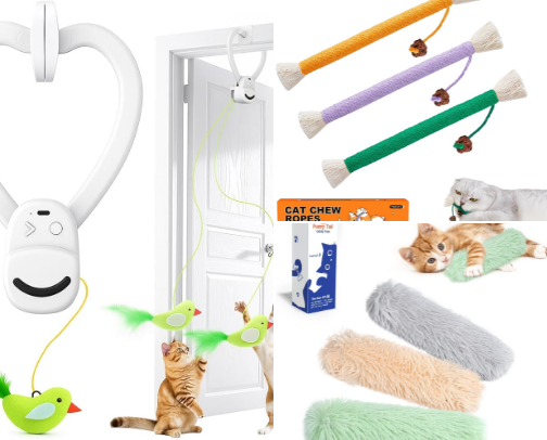 Barnes & Noble’s TikTok Shop recs cover photo collage