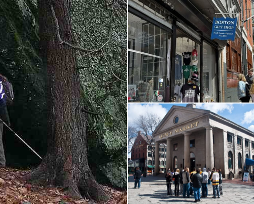 New England Recs for newbies cover photo collage