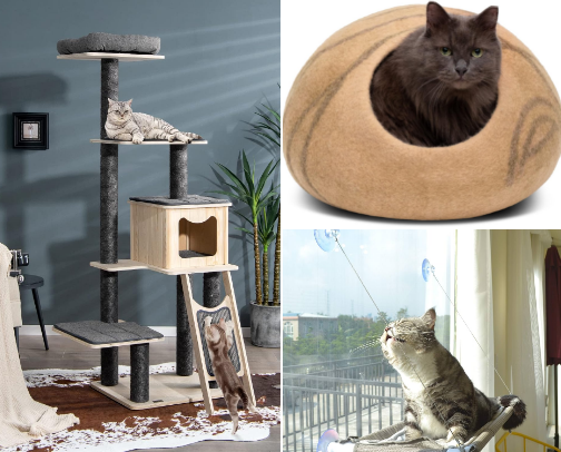 Purrrfectly Practical - Cat Care Essentials cover photo collage