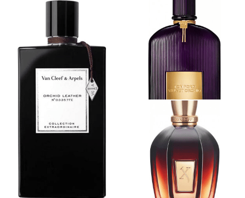 perfumes🧸 cover photo collage