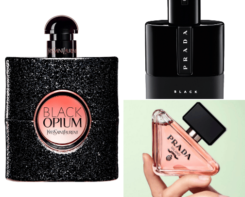 Scents That Tell Stories cover photo collage