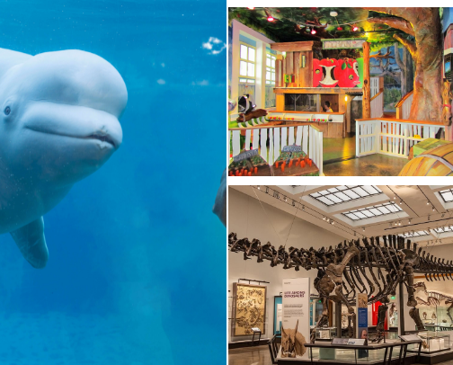 Exploring Connecticut with Littles cover photo collage