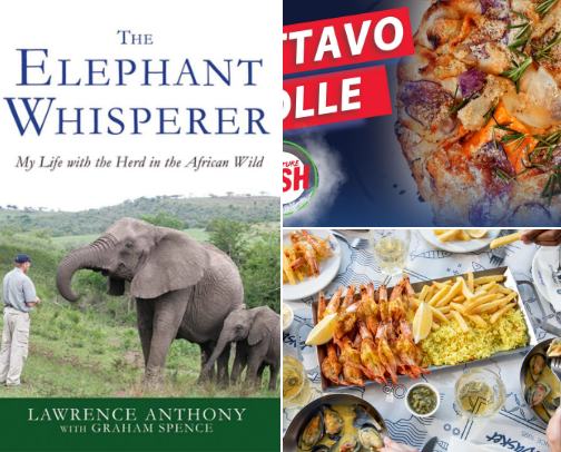 My favorite book recs cover photo collage