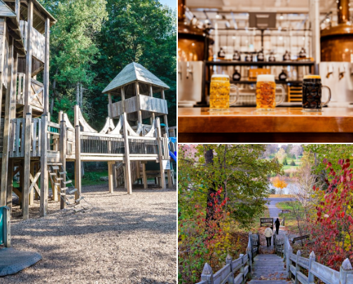 Fall things to do!!! cover photo collage