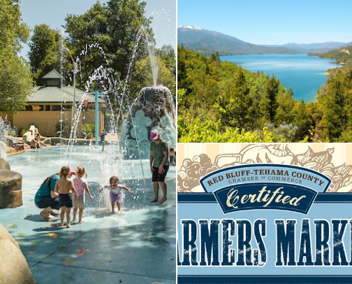 Local fun for Shasta and Tehama Counties cover photo collage