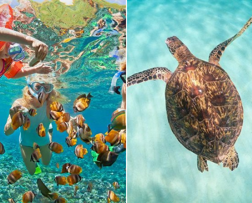 Planning My Oahu Trip cover photo collage