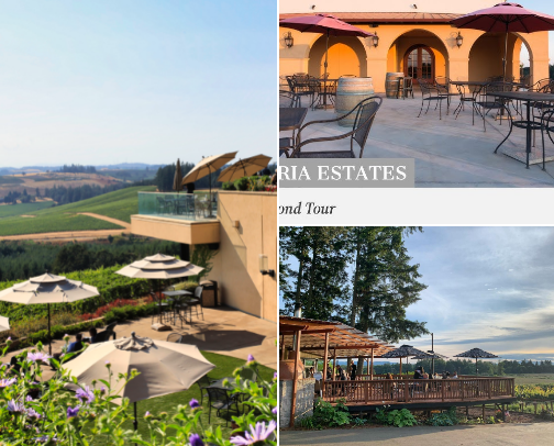 Explore Exquisite Vineyards cover photo collage