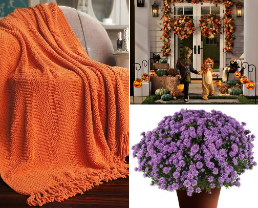 FALL everything cover photo collage