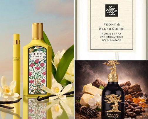 My Top 10 Summer Perfumes ✨ cover photo collage