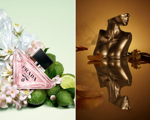 The Art of Perfume: Timeless Fragrances cover photo collage