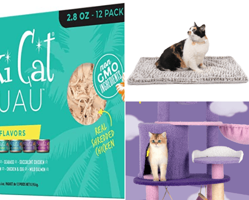 kitten must-haves cover photo collage