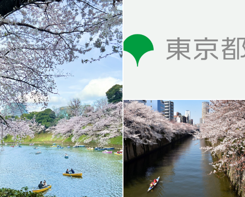 🌸 30+ Best Cherry Blossom Spots Around the World (Travel Bucket List) cover photo collage